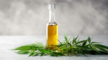 best cbd oil for dogs